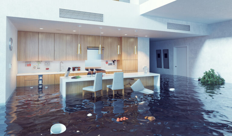 flooding in luxurious kitchen interior